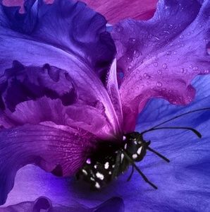 Meet your Posher, Janice